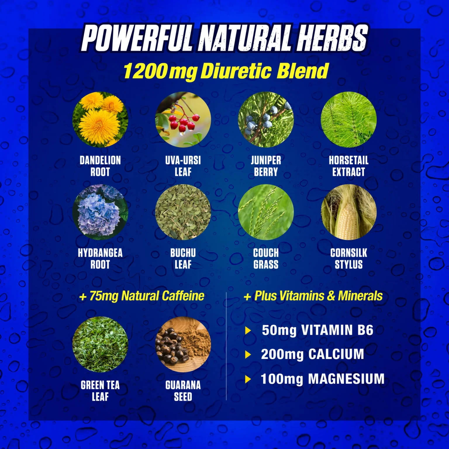 MHP, Xpel Herbal Diuretic, 80 Capsules, 20 Servings