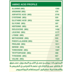 Organic Nation, Whey Isolate, 1kg, 30 Servings