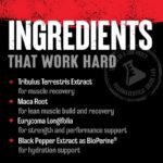 Animal, Stak Hormone Booster, Pill Packs, 21 Packs - Image 3