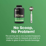 Optimum Nutrition, Creatine Micronized, 600g, 120 Servings