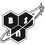 BSN Logo